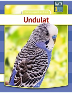 Undulat