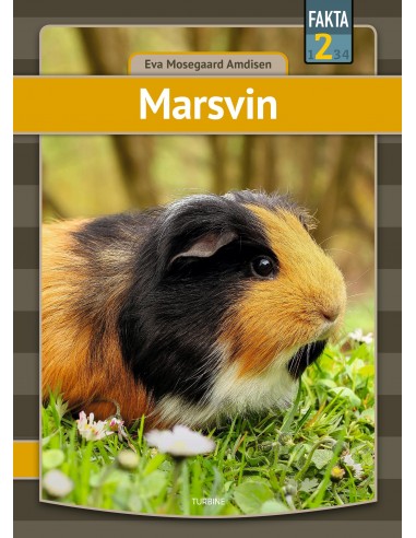Marsvin