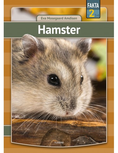 Hamster