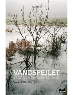 Vandspejlet