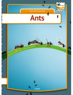 Ants
