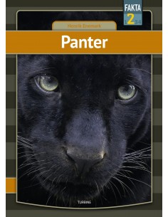 Panter