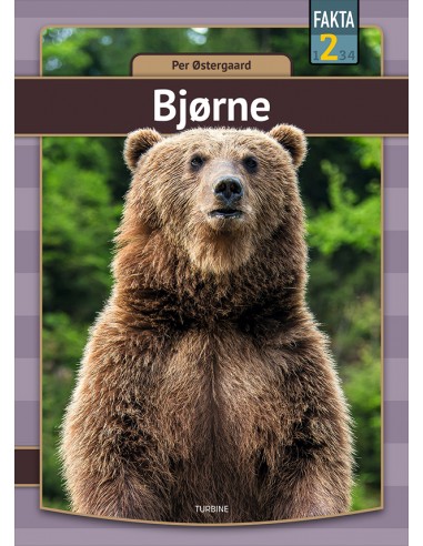 Bjørne