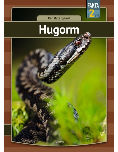 Hugorm