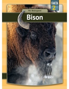 Bison
