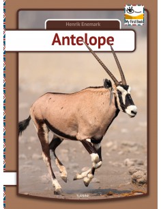 Antelope