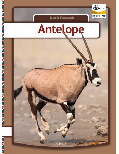 Antelope