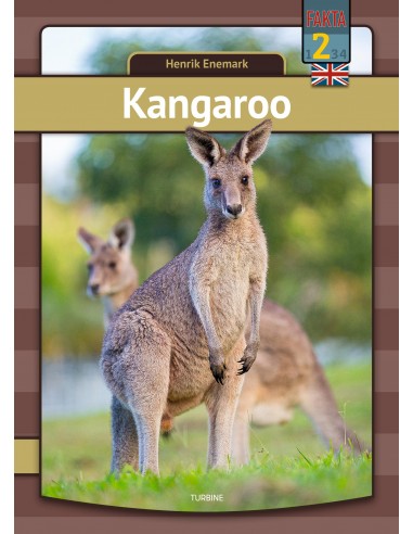 Kangaroo