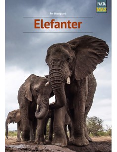 Elefanter