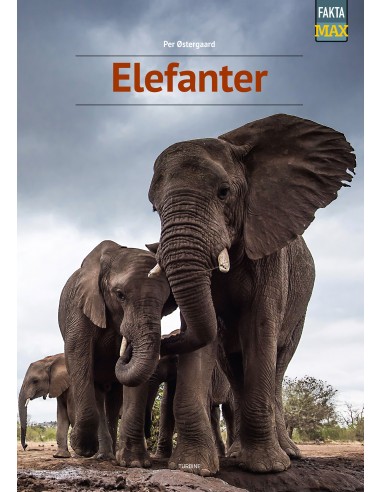 Elefanter