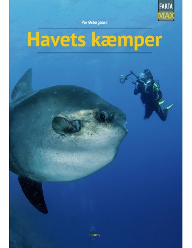 Havets kæmper