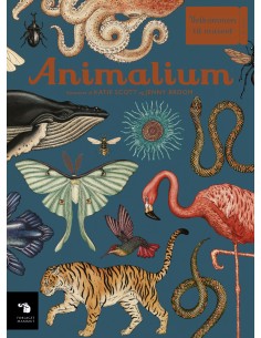 Animalium