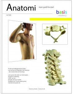 Anatomi - basis - Arbejdsbog 1
