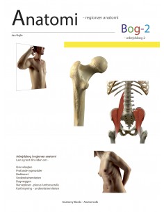 Anatomi - Bog 2