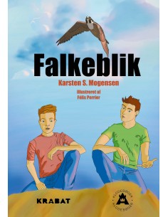 Falkeblik