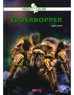 Edderkopper