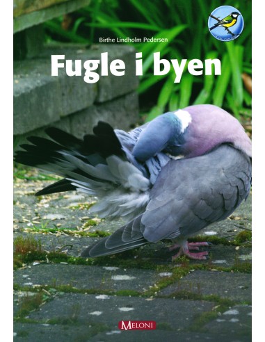 Fugle i byen