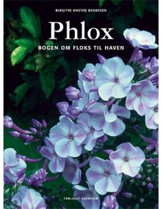Phlox