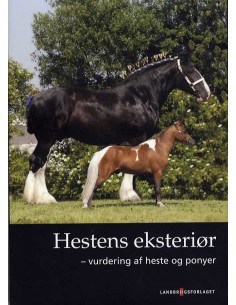 Hestens eksteriør