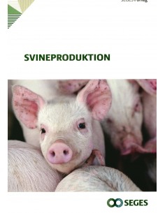 Svineproduktion