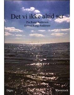 Det vi ikke altid ser