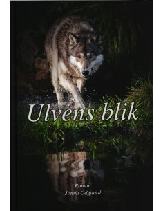 Ulvens blik