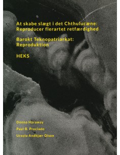 At skabe slægt i det...