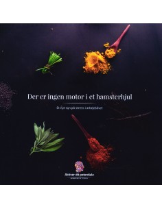 Der er ingen motor i et...