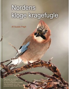 Nordens kloge kragefugle
