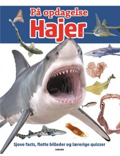 På opdagelse! - Hajer