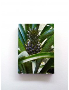 happity forever - tentativ...