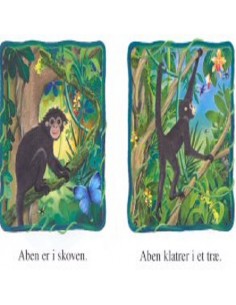 Kiwi Mini, Læsekasse