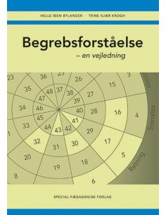 Begrebsforståelse, vejledning
