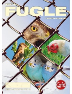 Noget om Fugle, Rødt niveau...