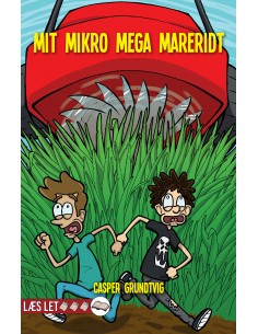Mit mikro mega mareridt