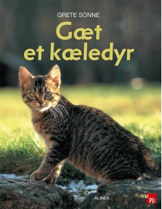 Mini PS, Gæt et kæledyr
