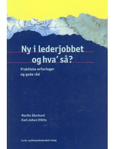 Ny i lederjobbet og hva` så?