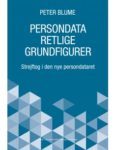 Persondataretlige Grundfigurer