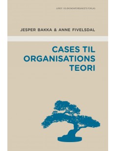 Cases til organisationsteori