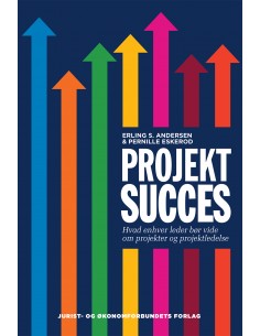 Projektsucces