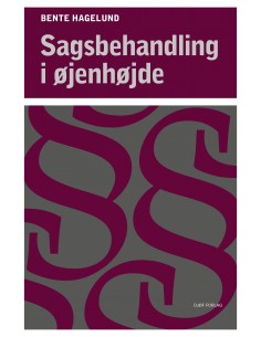 Sagsbehandling i øjenhøjde