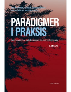 Paradigmer i praksis