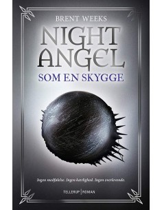 Night Angel 1:  Som en skygge