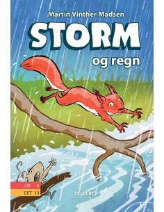 Storm 2: Storm og regn