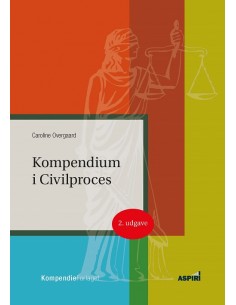 Kompendium i civilproces