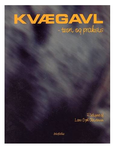 Kvægavl