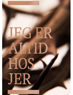 Bibelen på Hverdagsdansk,...