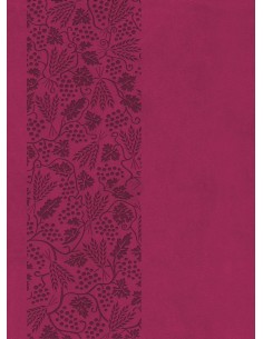 Bibelen på Hverdagsdansk,...