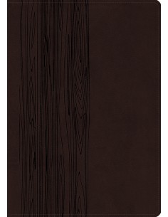 Bibelen på Hverdagsdansk,...