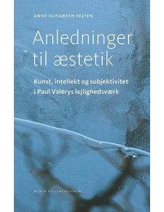 Anledninger til æstetik